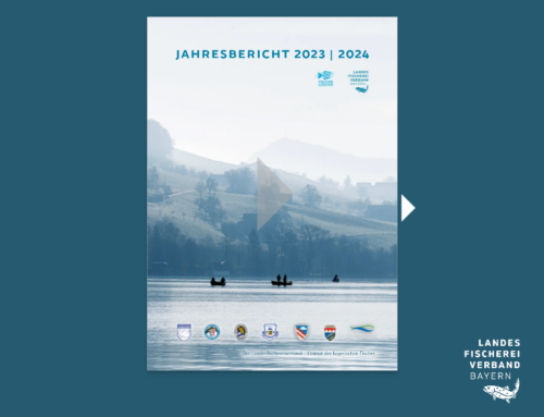 Leistungen, Aktivitäten und Engagement: Jahresbericht des Landesfischereiverbands