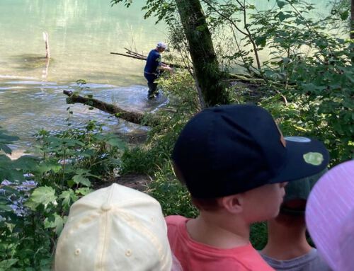 Aktion mit Grundschülern: Unterwasser-Insektenhotels für den Lech