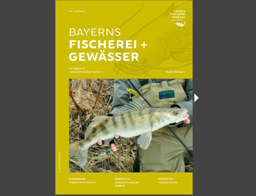 Mitgliedermagazin: Bayerns Fischerei + Gewässer – Juni 2025