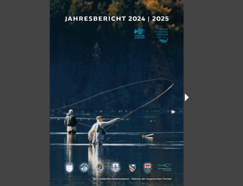 Leistungen, Aktivitäten und Engagement: Jahresbericht des Landesfischereiverbands 2024/2025