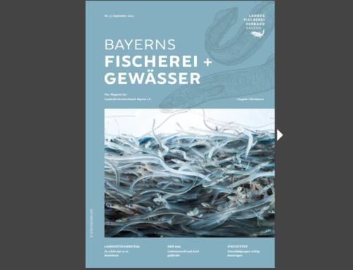 Mitgliedermagazin: Bayerns Fischerei + Gewässer – September 2025