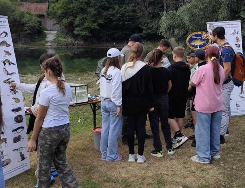 Lebendige Umweltbildung am Wasser – Schulklassen zu Gast am Freizeitsee Mammendorf