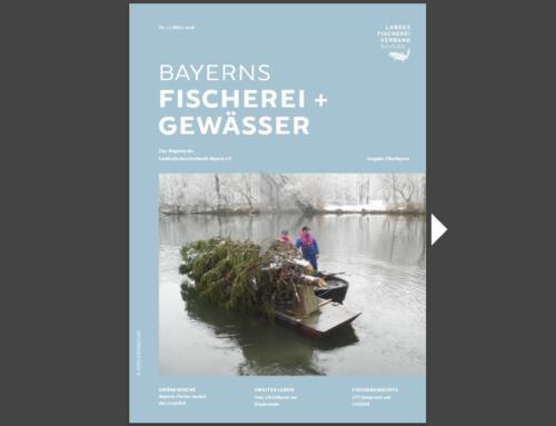 Mitgliedermagazin: Bayerns Fischerei + Gewässer – März 2026