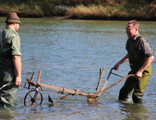Hilfe für kieslaichende Fische