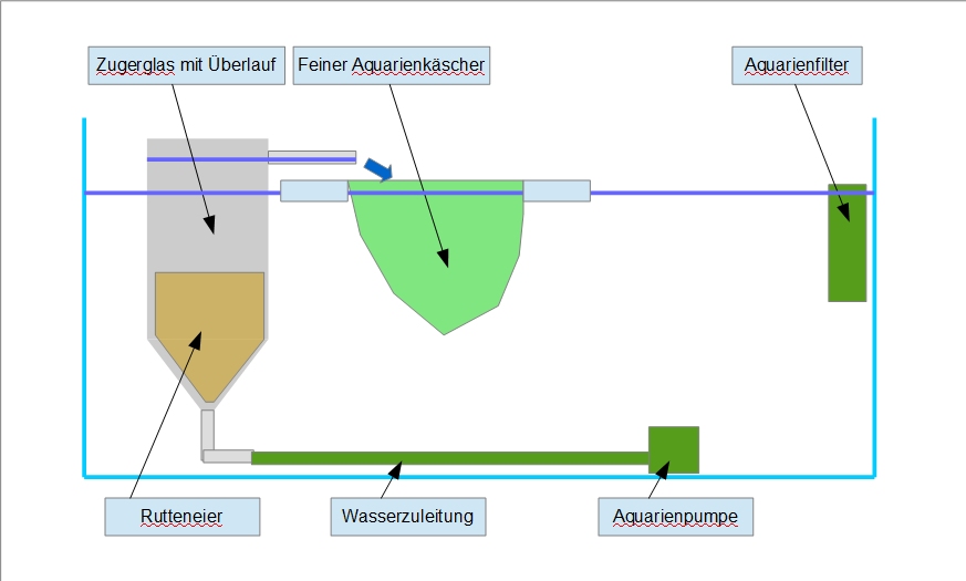Erbrütungskreislauf
