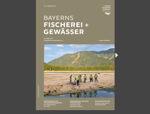 Mitgliedermagazin: Bayerns Fischerei + Gewässer – September 2026